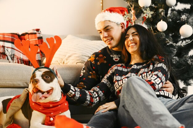 Personas en adornos navideños. Hombre y mujer en suéteres de año nuevo. Familia con perro grande.