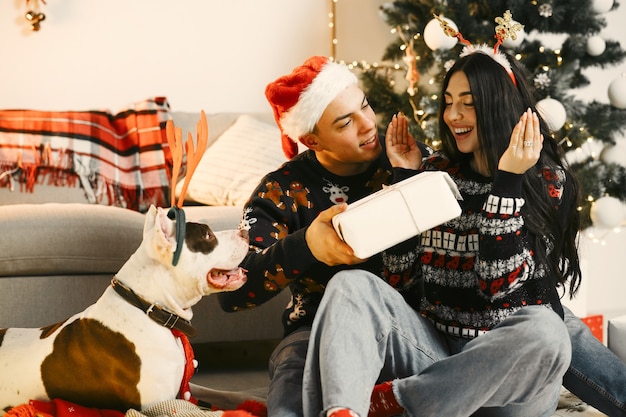 Personas en adornos navideños. Hombre y mujer en suéteres de año nuevo. Familia con perro grande.