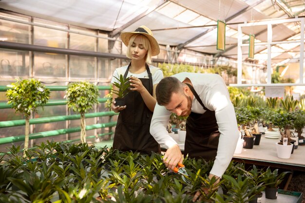 Personas cuidando plantas juntas plano medio.