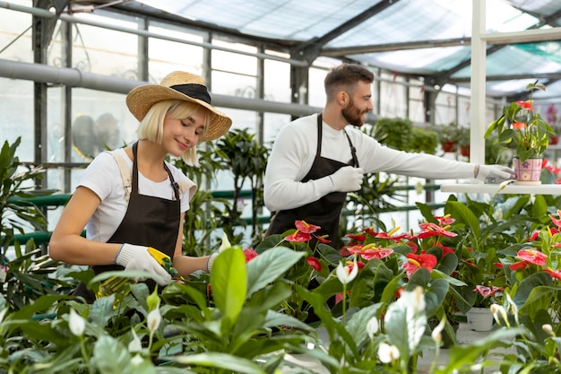 Personas cuidando plantas plano medio.