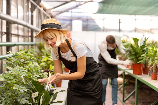 Personas cuidando plantas plano medio.