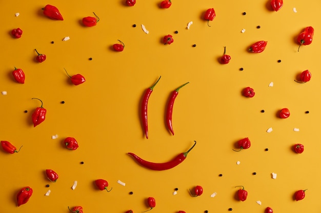 Foto gratuita personas divertidas enfrentan sonrisa hecha de ají candente, aislado sobre fondo amarillo de estudio. concepto de alimentación saludable. arte gastronómico y concepto creativo. cara sonriente feliz de verduras frescas crudas