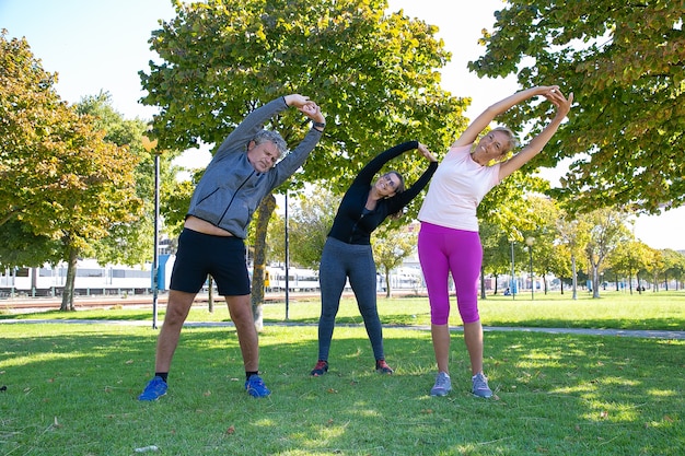 Foto gratuita personas maduras deportivas activas haciendo ejercicio matutino en el parque, de pie sobre el césped y doblando los troncos. concepto de jubilación o estilo de vida activo