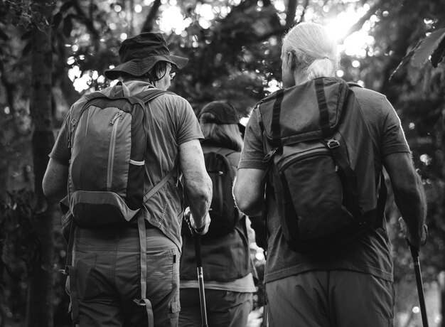 Personas mayores trekking en un bosque