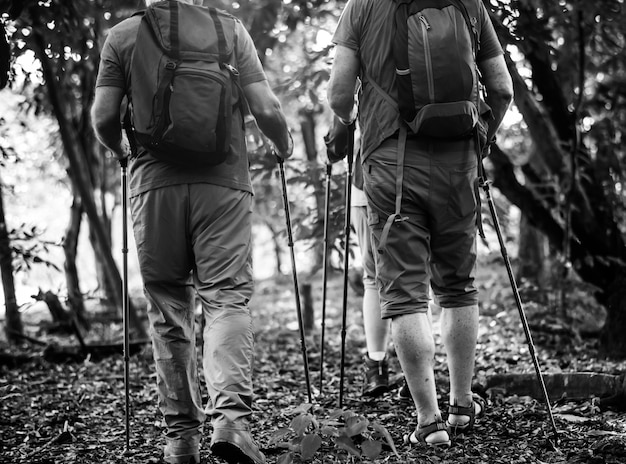 Personas mayores trekking en un bosque