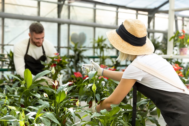 Foto gratuita personas de plano medio cuidando plantas.