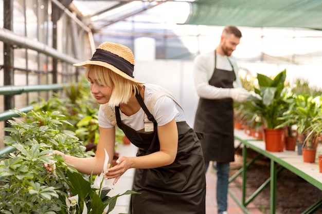 Personas de plano medio cuidando plantas.