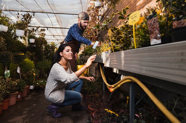 Personas que cuidan las plantas