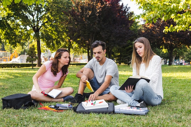 Personas que estudian en el parque