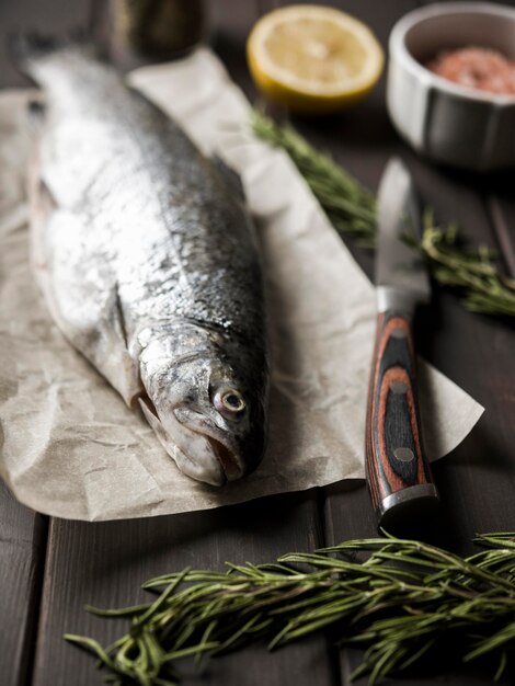 Pescado de ángulo alto en papel