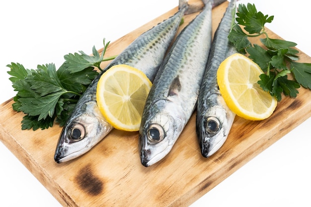 Foto gratuita pescado caballa crudo aislado sobre fondo blanco xa