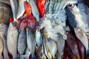 Foto gratuita pescado crudo en el mercado