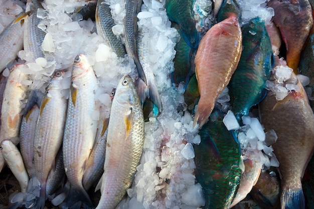 Pescado crudo