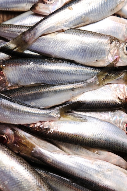 Foto gratuita pescado fresco y delicioso