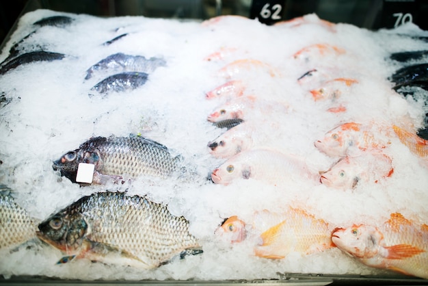 Foto gratuita pescado fresco