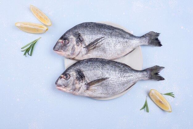 Pescado de marisco crudo fresco y rodajas de limón