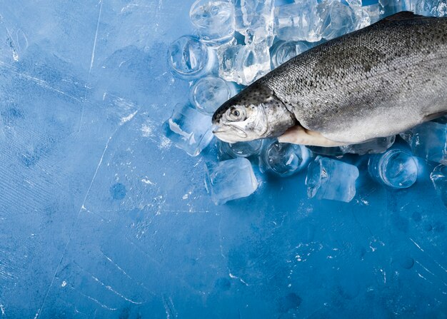Pescado plano con cubitos de hielo