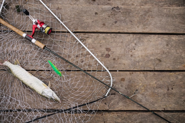 Pescado recién capturado dentro de la red de pesca con caña de pescar