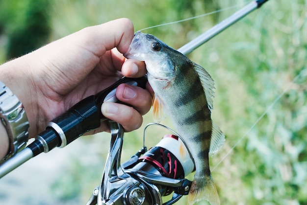 Pescador con caña de pescar con pescado fresco