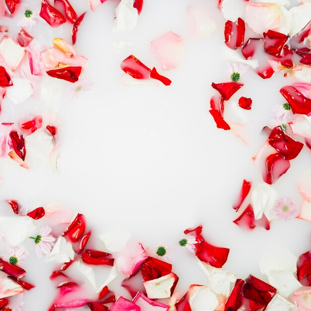 Pétalos de flores rojas y blancas flotando en la leche