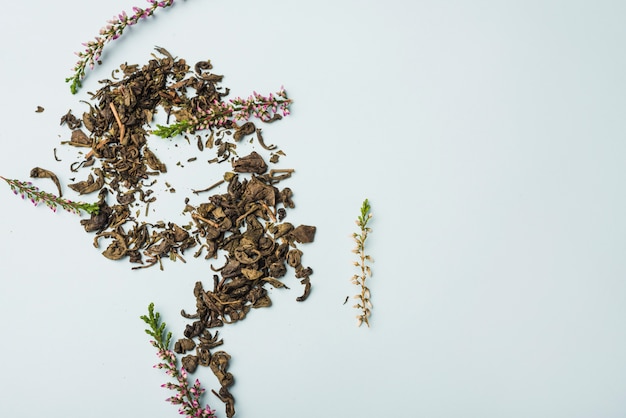 Pétalos de lavanda secos sobre fondo blanco