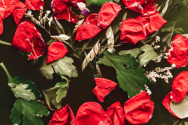 Pétalos rojos con hojas en agua negra