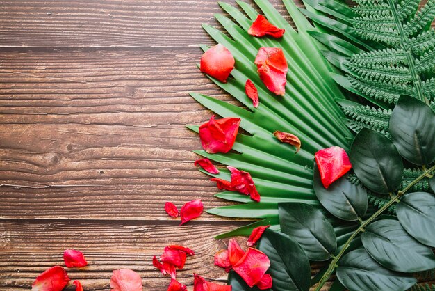 Pétalos rojos en hojas verdes sobre el fondo de madera