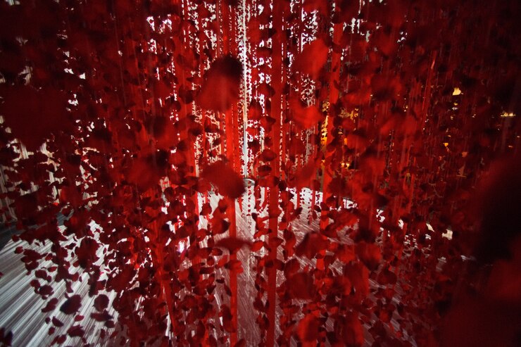 Foto gratuito pétalos de rosa roja y cintas cuelgan sobre piso blanco