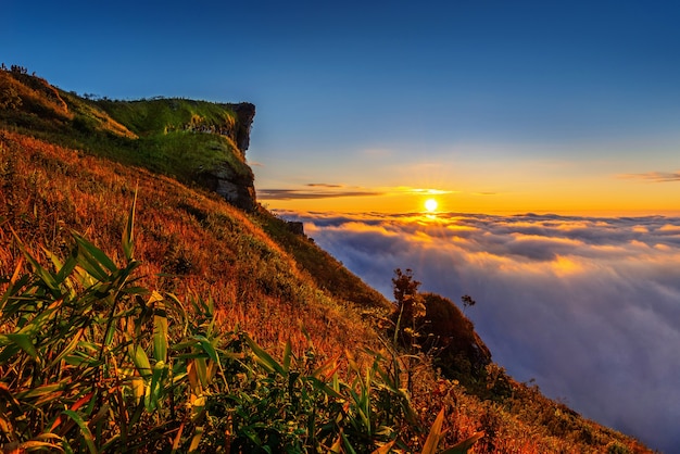 Phu chi fa y niebla al amanecer en la provincia de Chiang rai, Tailandia