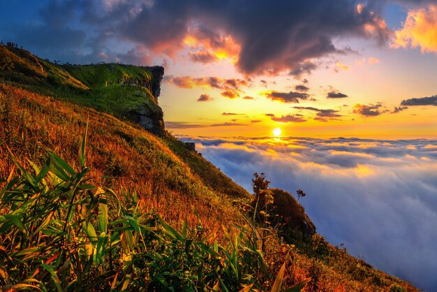 Phu chi fa y niebla al amanecer en la provincia de Chiang rai, Tailandia