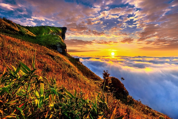 Phu chi fa y niebla al amanecer en la provincia de Chiang rai, Tailandia