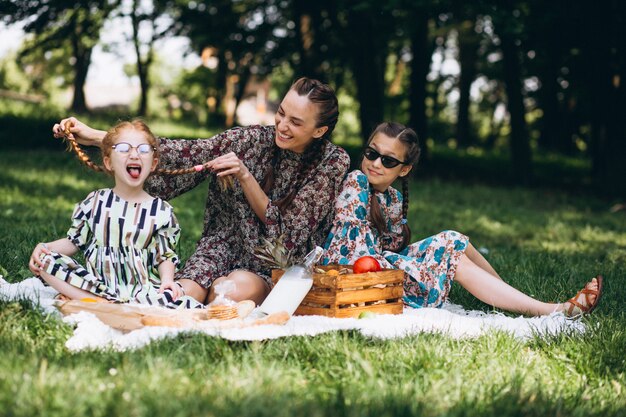 Picnic familiar en el parque