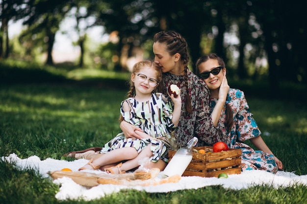 Picnic familiar en el parque