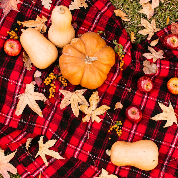 Foto gratuita picnic de otoño con calabazas