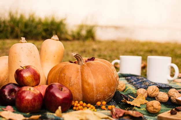 Picnic de vista frontal con calabazas