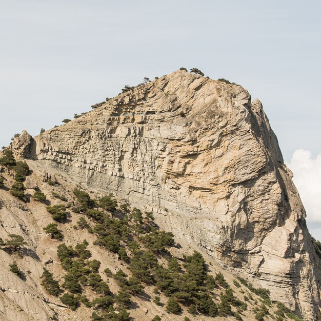 Pico de una montaña y hierba