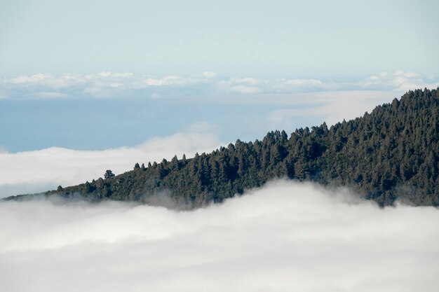Pico de montaña sobre las nubes