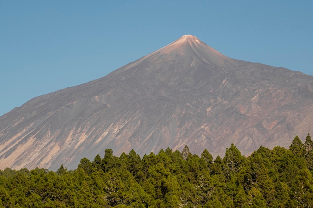 Pico de montaña solitario con bosque siempreverde