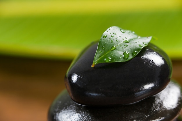 piedras de cantos rodados con la hoja verde