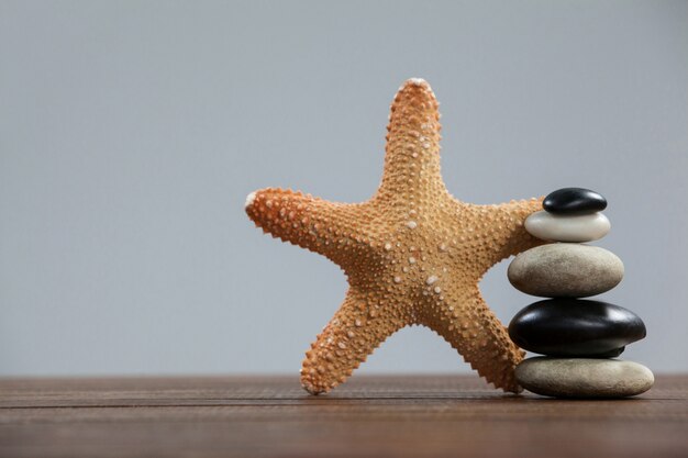 piedras de cantos rodados con pescados de la estrella