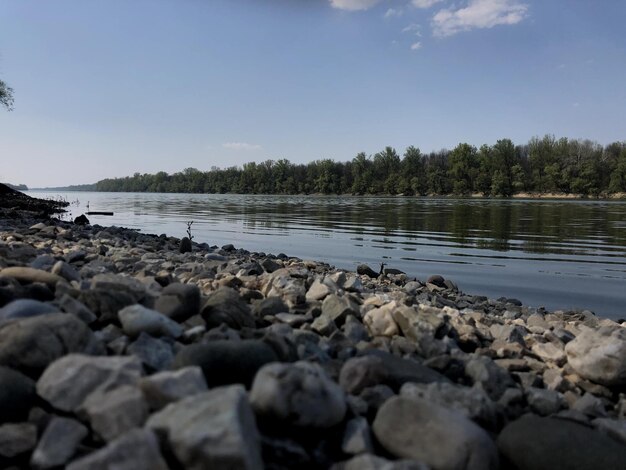 Piedras en la orilla de un lago con árboles al fondo