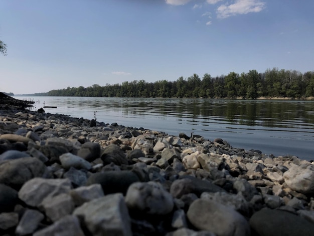 Piedras en la orilla de un lago con árboles al fondo