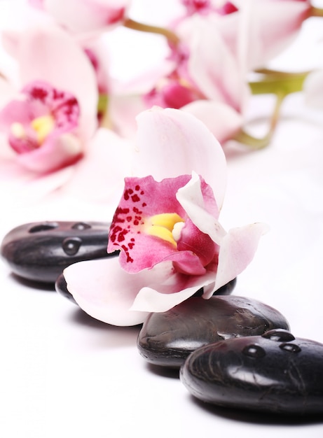 Foto gratuita piedras de spa y hermosa orquídea