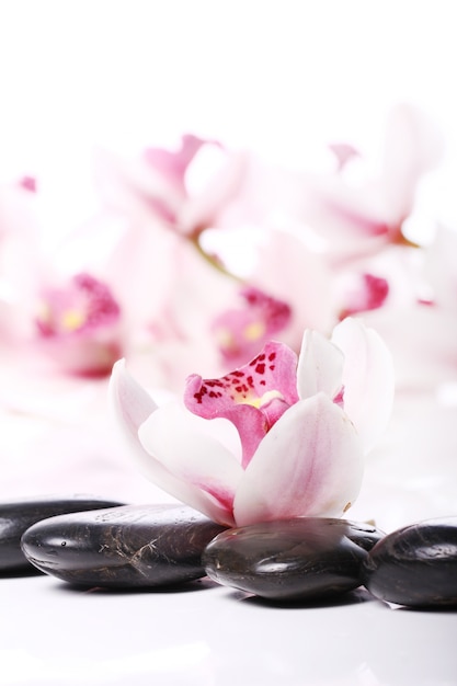 Foto gratuita piedras de spa y hermosa orquídea
