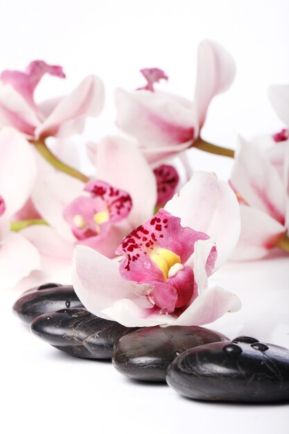 Piedras de spa y hermosa orquídea