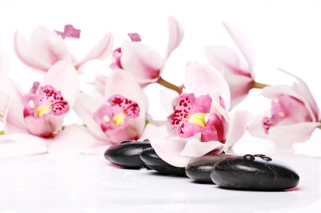 Piedras de spa y hermosa orquídea