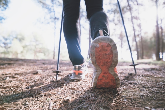 Piernas de cultivos caminando en el bosque