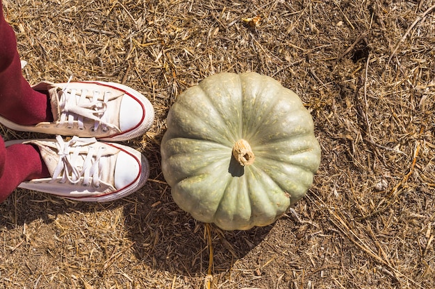 Pies de mujer cerca de calabaza