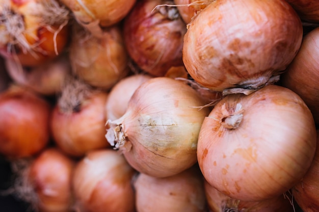 Pila de cebolla orgánica fresca