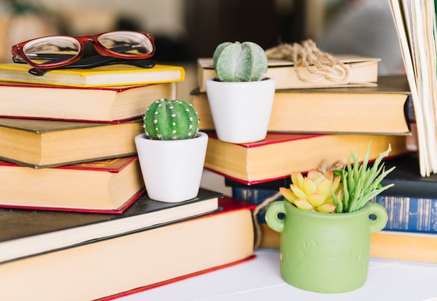 Foto gratuita pila de libros con cactus